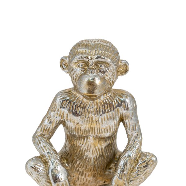 ΔΙΑΚΟΣΜΗΤΙΚΟΣ ΠΙΘΗΚΟΣ ΠΟΛΥΕΣΤΕΡΙΚΟΣ ΑΣΗΜΙ