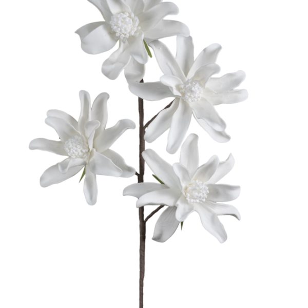 ΛΟΥΛΟΥΔΙ ΠΕΝΤΑΠΛΟ ΛΕΥΚΟ  104ΕΚ