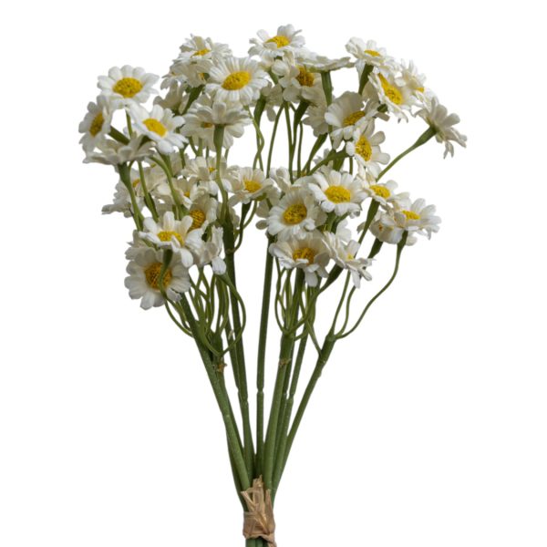 ΛΟΥΛΟΥΔΙ ΜΠΟΥΚΕΤΟ ΜΑΡΓΑΡΙΤΕΣ 27ΕΚ