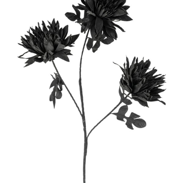 ΛΟΥΛΟΥΔΙ ΤΡΙΠΛΟ ΜΑΥΡΟ 84ΕΚ