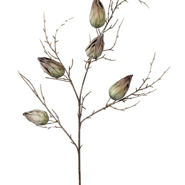 ΚΛΑΔΙ ΜΕ ΚΑΡΠΟΥΣ ΚΟΚΚΙΝΟ ΠΡΑΣΙΝΟΥΣ 85ΕΚ