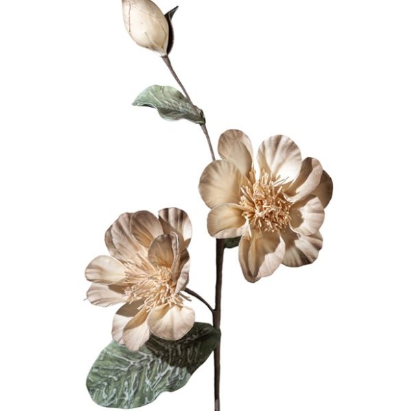 ΛΟΥΛΟΥΔΙ ΚΑΦΕ ΜΠΟΥΜΠΟΥΚΙΑ 85ΕΚ