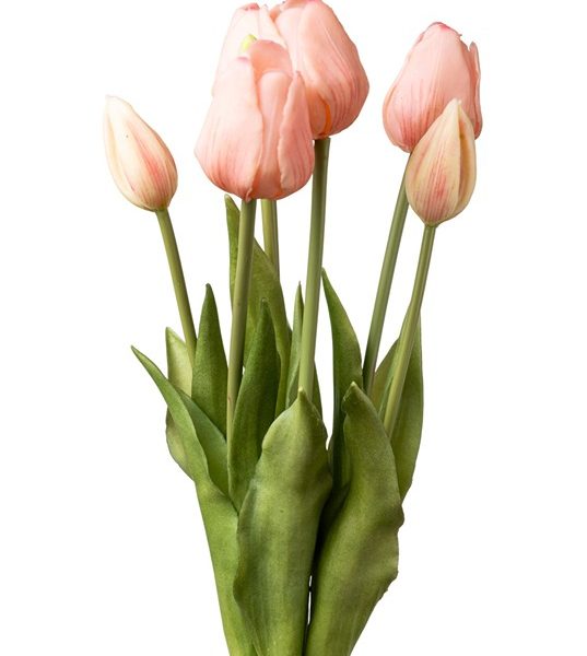 ΛΟΥΛΟΥΔΙΑ ΜΠΟΥΚΕΤΟ  ΤΟΥΛΙΠΑ ΡΟΖ ΑΠΌ PVC 46EK